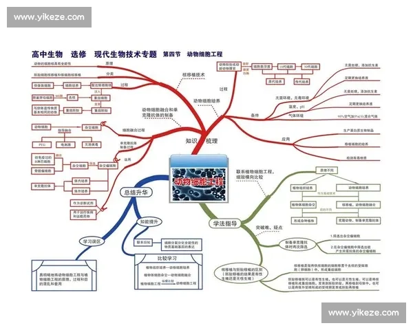 深入解析体育彩票足彩竞猜规则与投注技巧，助你轻松理解与精准预测